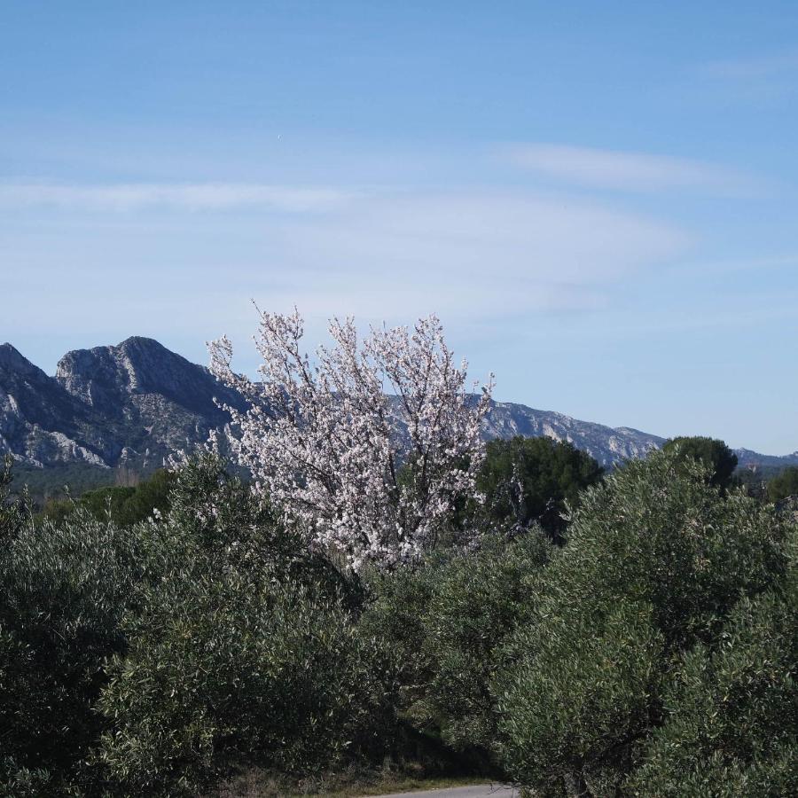 Mas Grimaud - Gite- Studio Et Chambres D'Hotes Familiales Eygalières Екстериор снимка